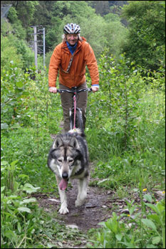 schmale Wege sind kein Problem