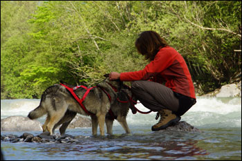 Willkommene Abk&uuml;hlung in der Simme...