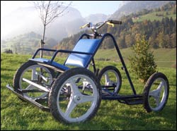 4 rad Trainingswagen