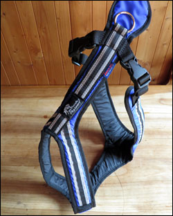 Safety Uwe Radant design