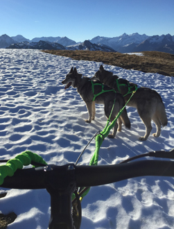 Unterwegs auf Touren